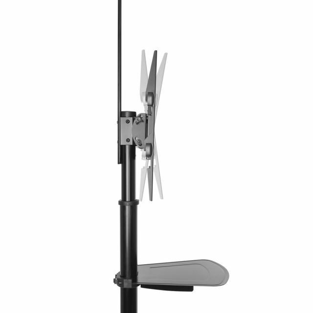 Мобилна стойка ACT AC8370, За под, Регулируема, 37"-70", VESA, До 50 кг., Черна