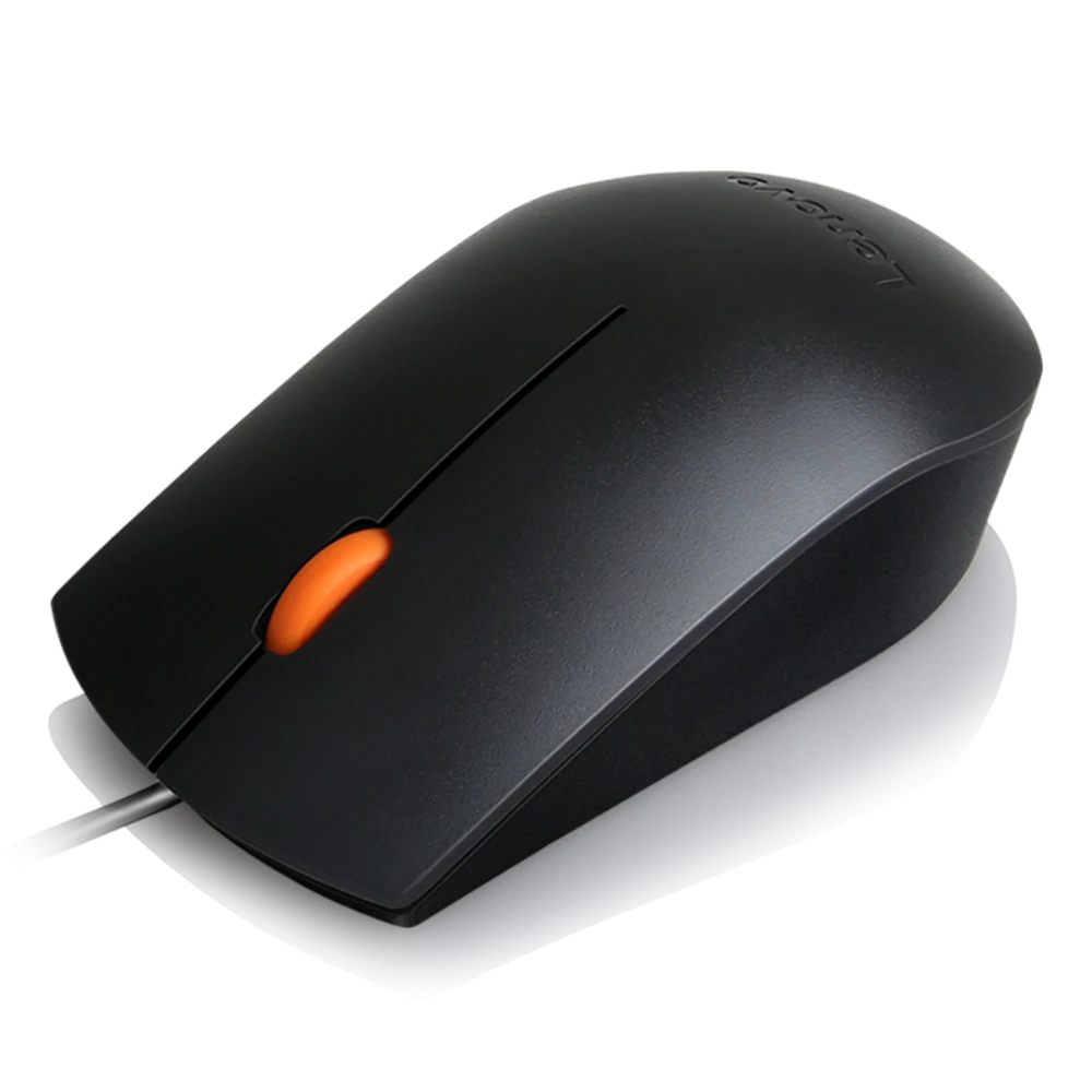 LENOVO 300 USB MOUSE