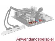 Адаптер Delock, M.2 Key B+M мъжко към 1 x USB 5 Gbps Pin Header