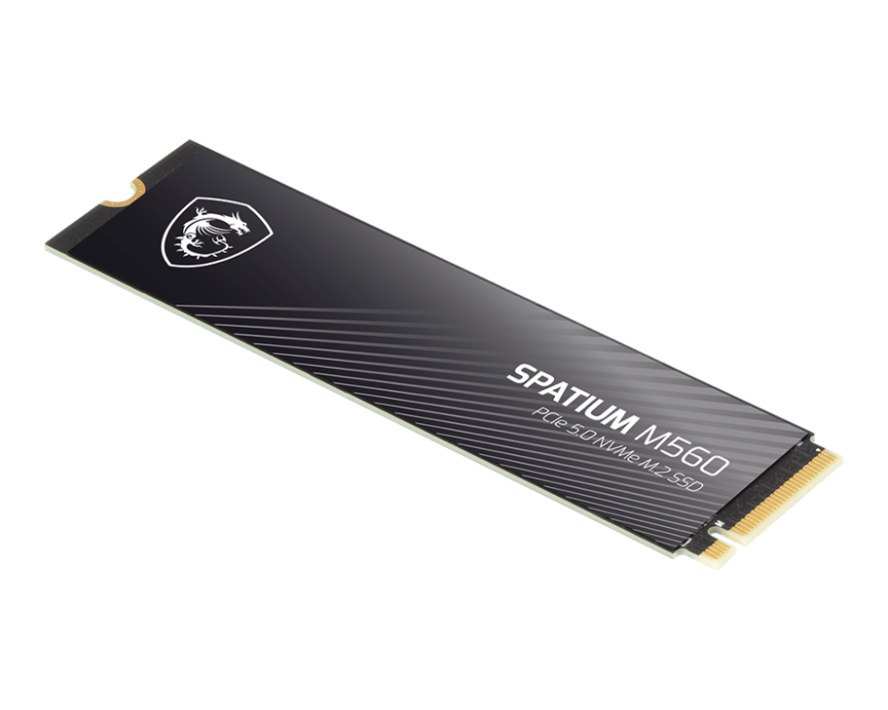 MSI SPATIUM M560 1T PCIE5.0