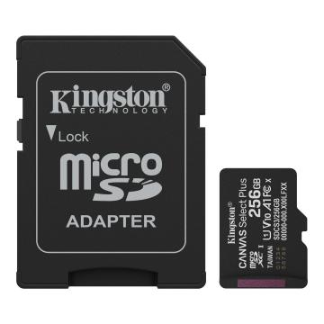 256G SDMIC KINGS CANVAS SEL+A1