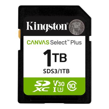 1TB SD KINGST CANVAS SEL+ G3