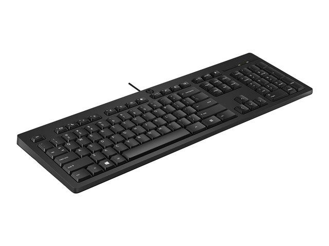 HP 125 Wired Keyboard (BG)