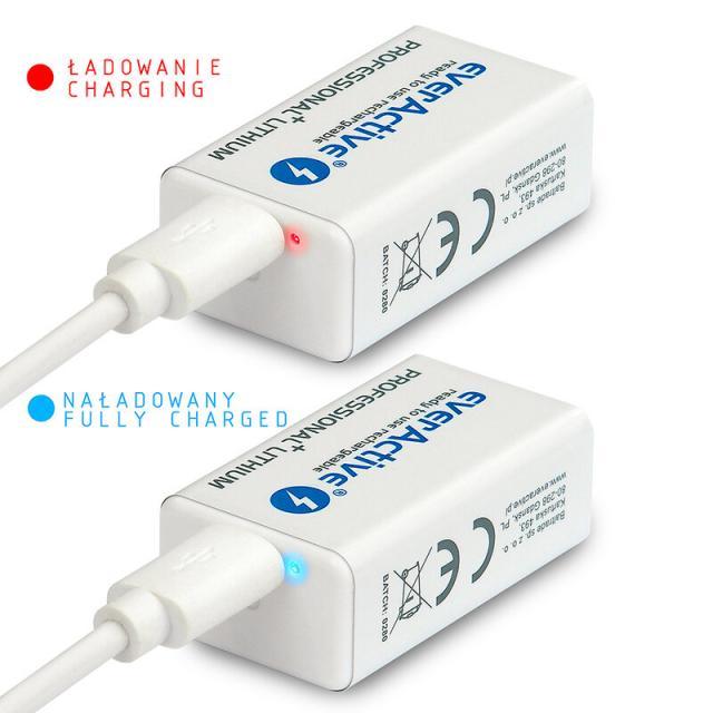 Акумулаторна Батерия R22 9V LiIon 500mAh/550 precharged +micro Usb  1бр. в опаковка EVERACTIVE