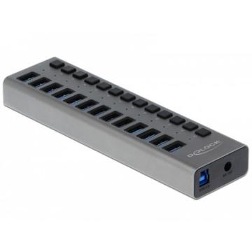 USB хъб Delock, 13 x USB-A, 1 x USB-B, 5 Gbps, Превключвател, LED индикатор, Сив