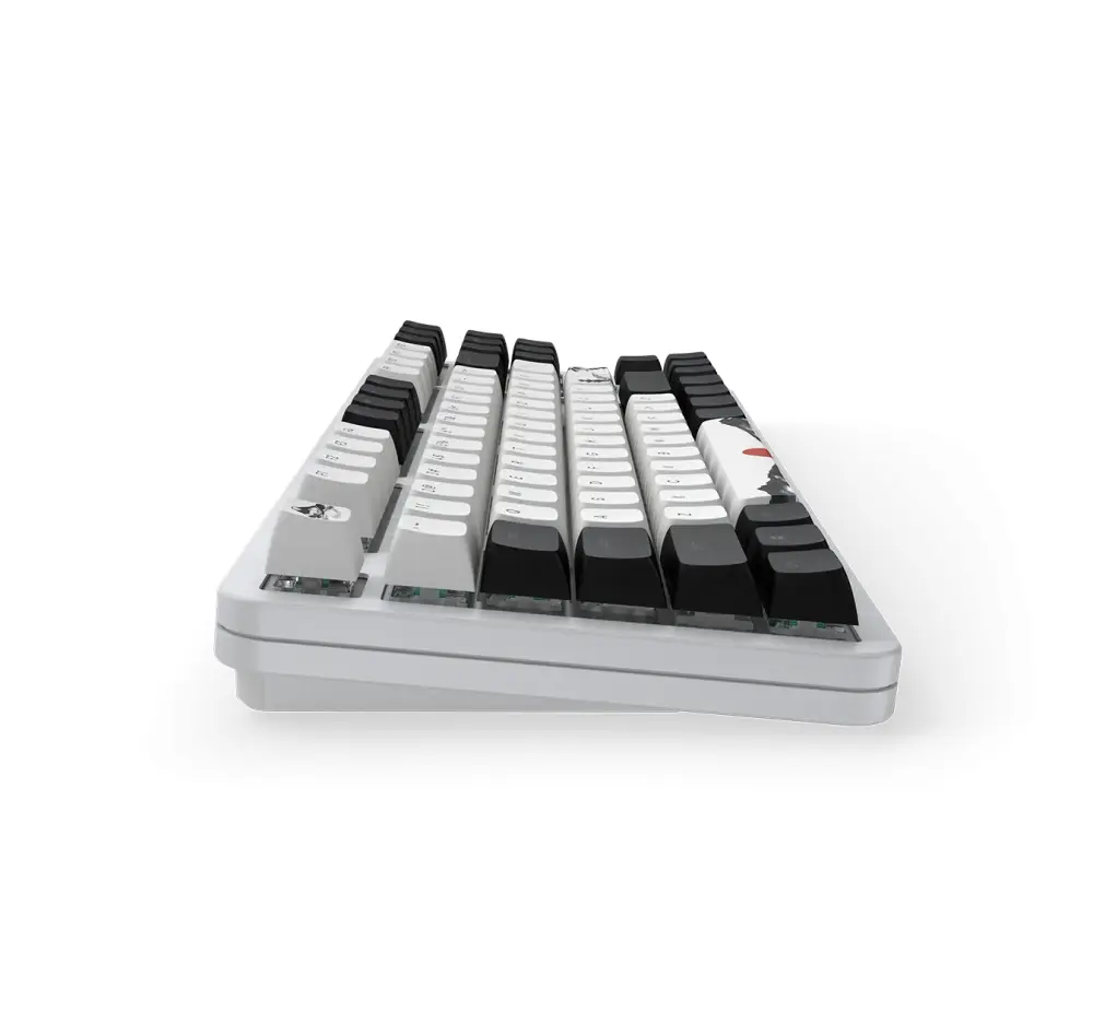 Геймърскa механична клавиатура Dark Project 87 Fuji V2 RGB TKL - G3MS Sapphire Switches, ABS