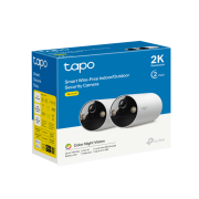 Интелигентна безжична охранителна Indoor/Outdoor камера TP-Link Tapo C410(2-pack)