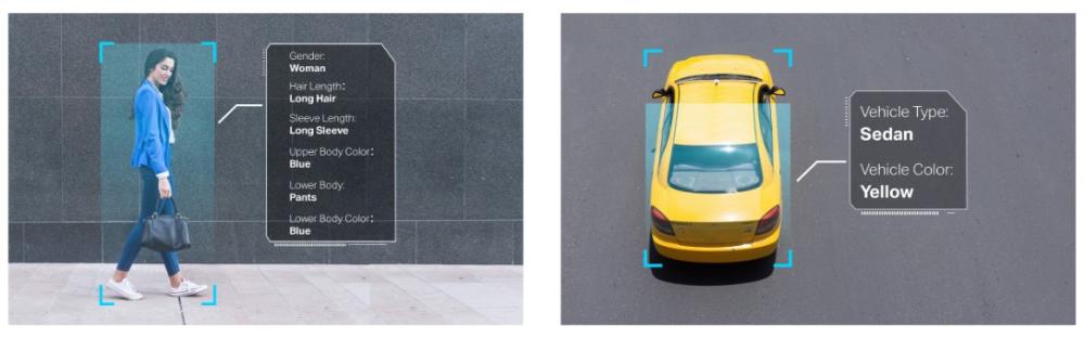 8MP пълноцветна куполна мрежова камера TP-Link VIGI InSight S285(2.8mm)