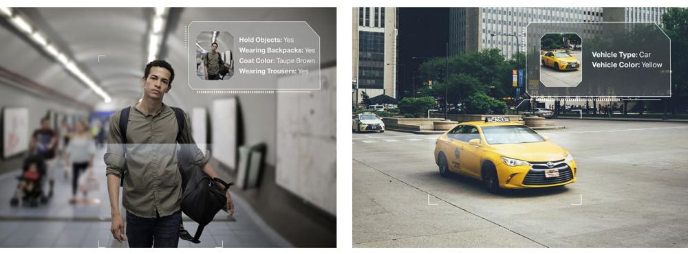 5MP пълноцветна куполна мрежова камера TP-Link VIGI C250(2.8mm)